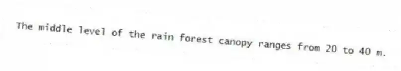 The middle level of the rain forest canopy ranges from 20 to 40 m.