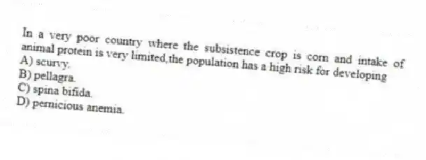 In a very poor country where the subsistence crop is corn and intake of animal protein is very limited,the population has a high risk for developing
A) scurvy.
B) pellagra.
C) spina bifida.
D) pernicious anemia.