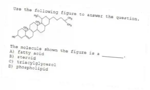 Use the following figure to answer the question.
The molecule shown the figure is a ________.
A) fatty acid
B) steroid
C) triacylglycerol
D) phospholipid