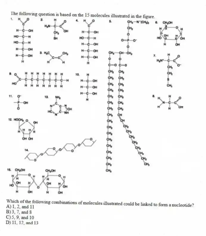 The following question is based on the 15 molecules illustrated in the figure.
Which of the following combinations of molecules illustrated could be linked to form a nucleotide?
A) 1, 2, and 11
B) 3, 7, and 8
C) 5, 9, and 10
D) 11, 12, and 13