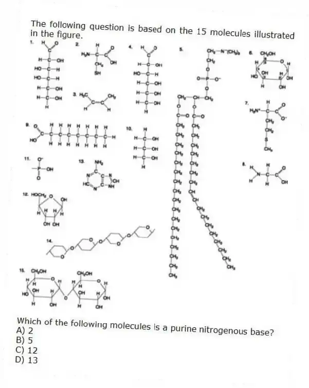 The following question is based on the 15 molecules illustrated in the figure.
Which of the following molecules is a purine nitrogenous base?
A) 2
B) 5
C) 12
D) 13