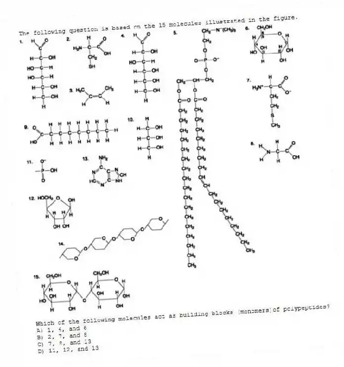 The following question is based on the 15 molecules illustrated in the figure.
Which of the following molecules act as building blocks (monomers)of polypeptides?
A) 1, 4, and 6
B) 2, 7, and 8
C) 7, 8, and 13
D) 11, 12, and 13