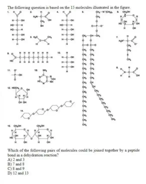 The following question is based on the 15 molecules illustrated in the figure.
Which of the following pairs of molecules could be joined together by a peptide bond in a dehydration reaction?
A) 2 and 3
B) 7 and 8
C) 8 and 9
D) 12 and 13