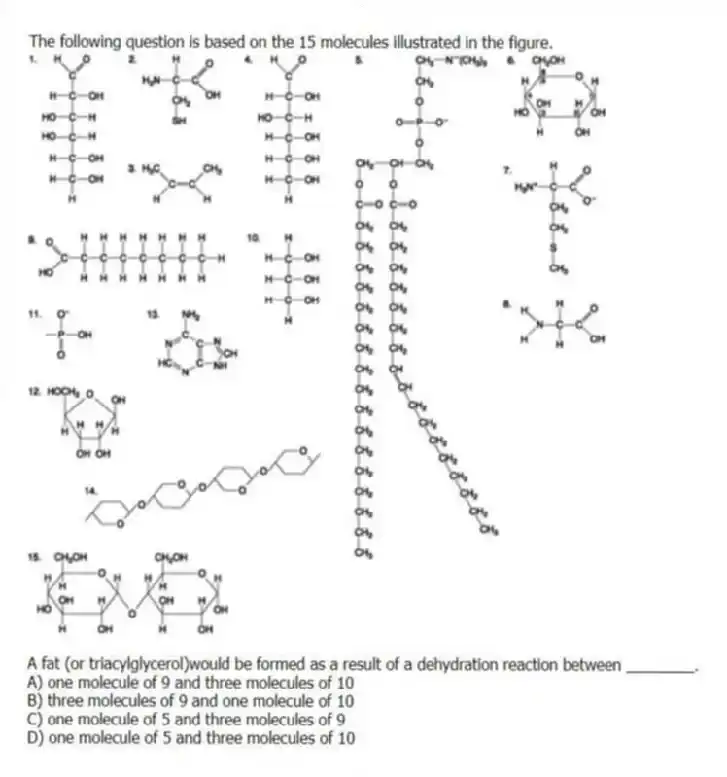 The following question is based on the 15 molecules illustrated in the figure.
A fat (or triacylglycerol)would be formed as a result of a dehydration reaction between ________.
A) one molecule of 9 and three molecules of 10
B) three molecules of 9 and one molecule of 10
C) one molecule of 5 and three molecules of 9
D) one molecule of 5 and three molecules of 10