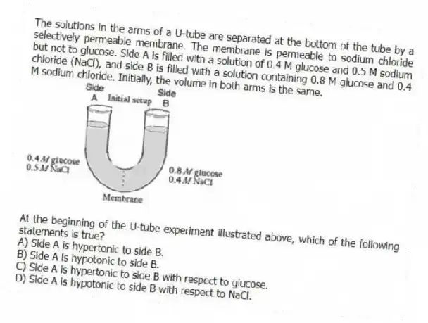 The solutions in the arms of a U-tube are separated at the bottom of the tube by a selectively permeable membrane. The membrane is permeable to sodium chloride but not to glucose. Side A is filled with a solution of 0.4 M glucose and 0.5 M sodium chloride (NaCl), and side B is filled with a solution containing 0.8 M glucose and 0.4 M sodium chloride. Initially, the volume in both arms is the same.
At the beginning of the U-tube experiment illustrated above, which of the following statements is true?
A) Side A is hypertonic to side B.
B) Side A is hypotonic to side B.
C) Side A is hypertonic to side B with respect to glucose.
D) Side A is hypotonic to side B with respect to NaCl.