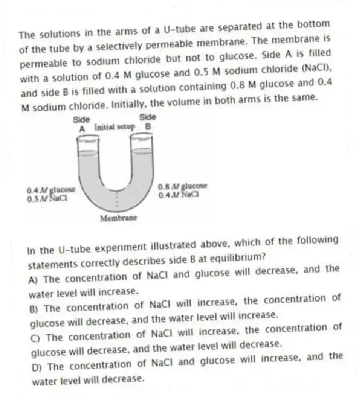The solutions in the arms of a U-tube are separated at the bottom of the tube by a selectively permeable membrane. The membrane is permeable to sodium chloride but not to glucose. Side A is filled with a solution of 0.4 M glucose and 0.5 M sodium chloride (NaCl), and side B is filled with a solution containing 0.8 M glucose and 0.4 M sodium chloride. Initially, the volume in both arms is the same.
In the U-tube experiment illustrated above, which of the following statements correctly describes side B at equilibrium?
A) The concentration of NaCl and glucose will decrease, and the water level will increase.
B) The concentration of NaCl will increase, the concentration of glucose will decrease, and the water level will increase.
C) The concentration of NaCl will increase, the concentration of glucose will decrease, and the water level will decrease.
D) The concentration of NaCl and glucose will increase, and the water level will decrease.