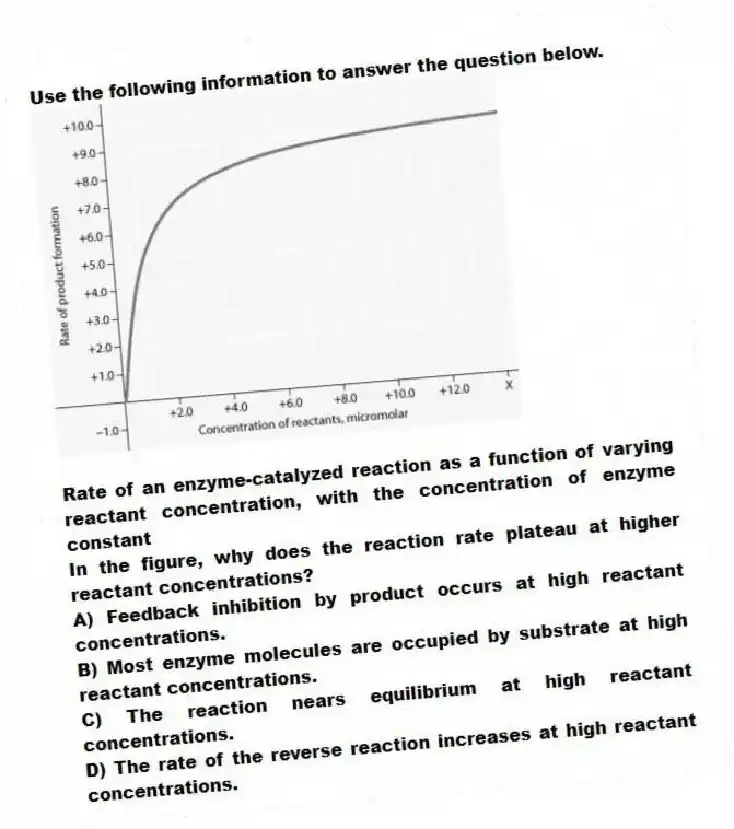 Use the following information to answer the question below.
Rate of an enzyme-catalyzed reaction as a function of varying reactant concentration, with the concentration of enzyme constant
In the figure, why does the reaction rate plateau at higher reactant concentrations?
A) Feedback inhibition by product occurs at high reactant concentrations.
B) Most enzyme molecules are occupied by substrate at high reactant concentrations.
C) The reaction nears equilibrium at high reactant concentrations.
D) The rate of the reverse reaction increases at high reactant concentrations.
