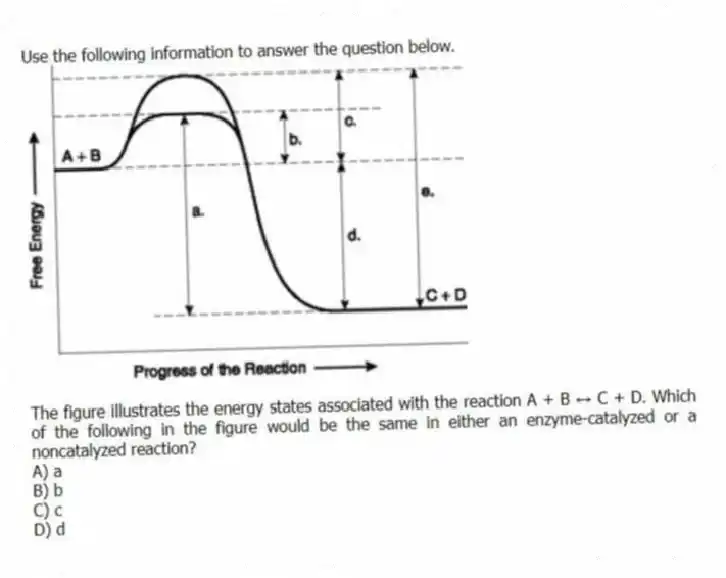Use the following information to answer the question below.

The figure illustrates the energy states associated with the reaction A + B ↔ C + D. Which of the following in the figure would be the same in either an enzyme-catalyzed or a noncatalyzed reaction?
A) a 
B) b 
C) c 
D) d
