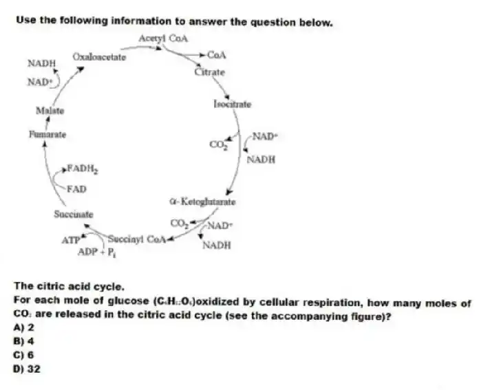 Use the following information to answer the question below.
The citric acid cycle.
For each mole of glucose (C₆H₁₂O₆)oxidized by cellular respiration, how many moles of CO₂ are released in the citric acid cycle (see the accompanying figure)?
A) 2
B) 4
C) 6
D) 32