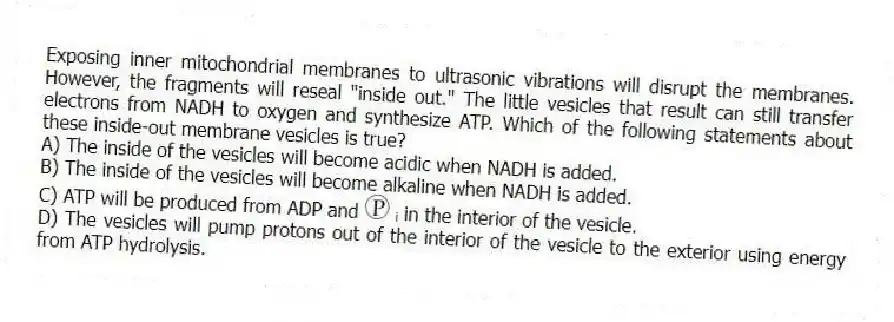 Exposing inner mitochondrial membranes to ultrasonic vibrations will disrupt the membranes. However, the fragments will reseal "inside out." The little vesicles that result can still transfer electrons from NADH to oxygen and synthesize ATP. Which of the following statements about these inside-out membrane vesicles is true?
A) The inside of the vesicles will become acidic when NADH is added. 
B) The inside of the vesicles will become alkaline when NADH is added. 
C) ATP will be produced from ADP and ᵢ in the interior of the vesicle. 
D) The vesicles will pump protons out of the interior of the vesicle to the exterior using energy from ATP hydrolysis.
