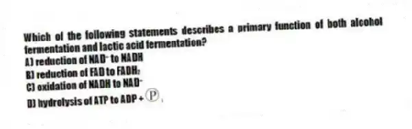 Which of the following statements describes a primary function of both alcohol fermentation and lactic acid fermentation?
A) reduction of NAD⁺ to NADH
B) reduction of FAD to FADH₂
C) oxidation of NADH to NAD⁺
D) hydrolysis of ATP to ADP + ᵢ