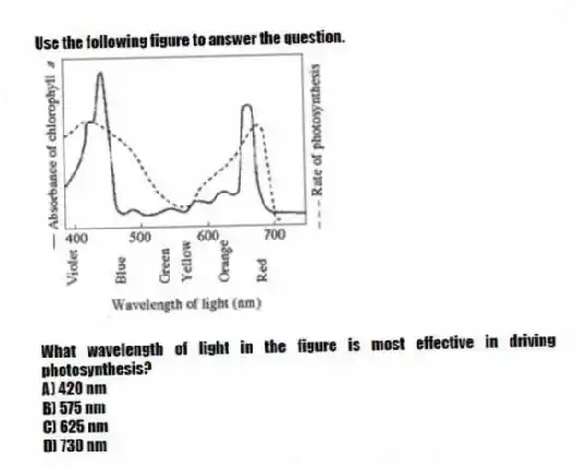 Use the following figure to answer the question.
What wavelength of light in the figure is most effective in driving photosynthesis?
A) 420 nm
B) 575 nm
C) 625 nm
D) 730 nm