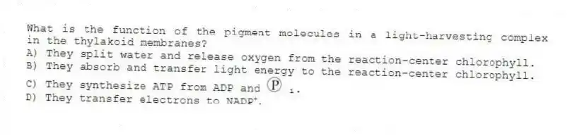 What is the function of the pigment molecules in a light-harvesting complex in the thylakoid membranes?
A) They split water and release oxygen from the reaction-center chlorophyll.
B) They absorb and transfer light energy to the reaction-center chlorophyll.
C) They synthesize ATP from ADP and ᵢ.
D) They transfer electrons to NADP⁺.