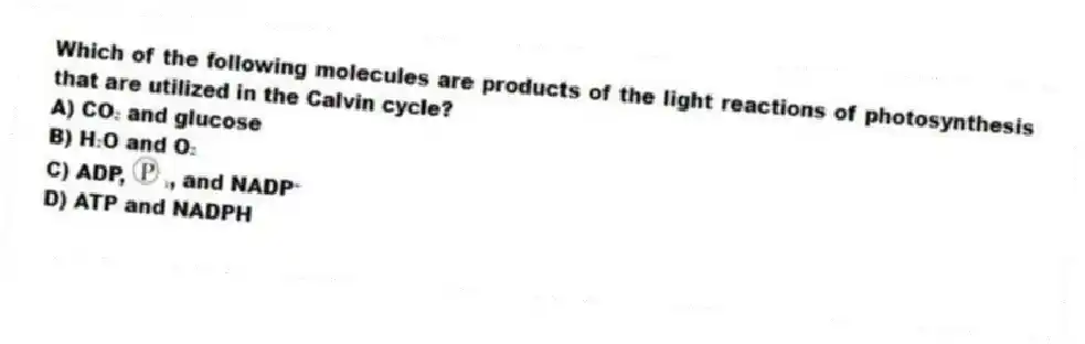 Which of the following molecules are products of the light reactions of photosynthesis that are utilized in the Calvin cycle?
A) CO₂ and glucose
B) H₂O and O₂
C) ADP, ᵢ, and NADP⁺
D) ATP and NADPH