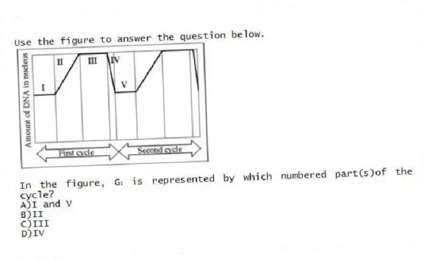 Use the figure to answer the question below.
In the figure, G₁ is represented by which numbered part(s)of the cycle?
A)I and V
B)II
C)III
D)IV