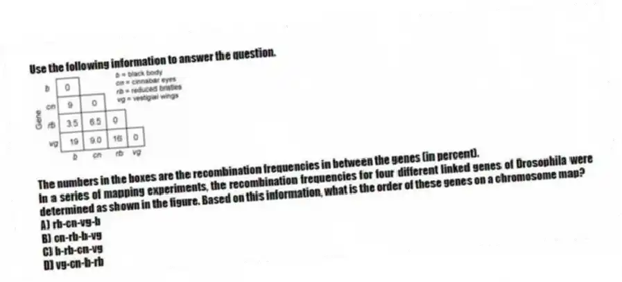 Use the following information to answer the question.
The numbers in the boxes are the recombination frequencies in between the genes (in percent).
In a series of mapping experiments, the recombination frequencies for four different linked genes of Drosophila were determined as shown in the figure. Based on this information, what is the order of these genes on a chromosome map?
A) rb-cn-vg-b
B) cn-rb-b-vg
C) b-rb-cn-vg
D) vg-cn-b-rb