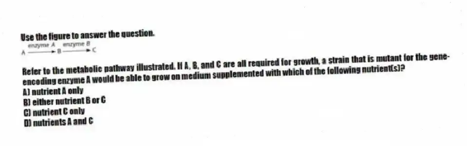 Use the figure to answer the question.
Refer to the metabolic pathway illustrated. If A, B, and C are all required for growth, a strain that is mutant for the gene-encoding enzyme A would be able to grow on medium supplemented with which of the following nutrient(s)?
A) nutrient A only
B) either nutrient B or C
C) nutrient C only
D) nutrients A and C