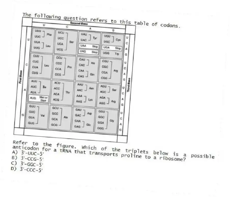 The following question refers to this table of codons.
Refer to the figure. Which of the triplets below is a possible anticodon for a tRNA that transports proline to a ribosome?
A) 3′-UUC-5′
B) 3′-CCG-5′
C) 3′-GGC-5′
D) 3′-CCC-5′