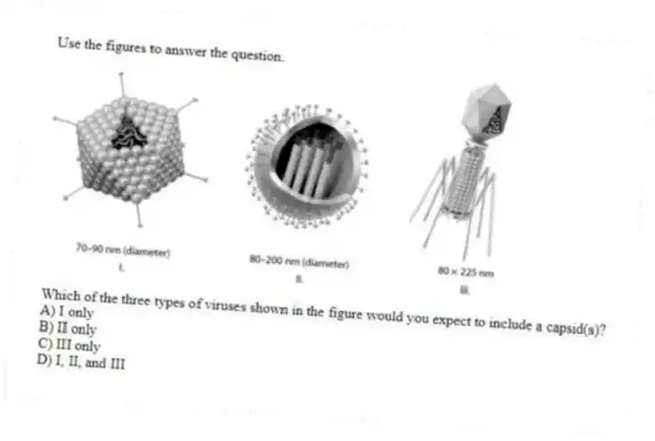 Use the figures to answer the question.
Which of the three types of viruses shown in the figure would you expect to include a capsid(s)?
A) I only
B) II only
C) III only
D) I, II, and III