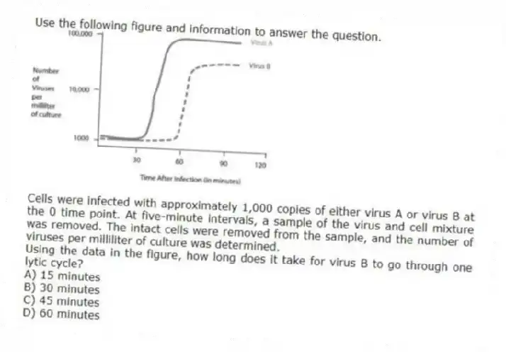 Use the following figure and information to answer the question.
Cells were infected with approximately 1,000 copies of either virus A or virus B at the 0 time point. At five-minute intervals, a sample of the virus and cell mixture was removed. The intact cells were removed from the sample, and the number of viruses per milliliter of culture was determined.
Using the data in the figure, how long does it take for virus B to go through one lytic cycle?
A) 15 minutes
B) 30 minutes
C) 45 minutes
D) 60 minutes