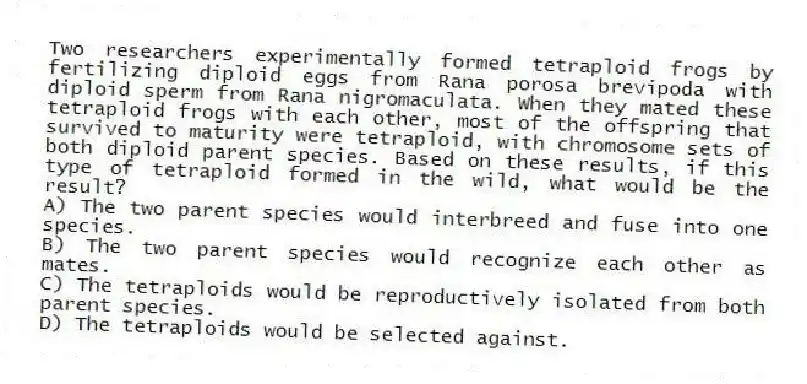 Two researchers experimentally formed tetraploid frogs by fertilizing diploid eggs from Rana porosa brevipoda with diploid sperm from Rana nigromaculata. When they mated these tetraploid frogs with each other, most of the offspring that survived to maturity were tetraploid, with chromosome sets of both diploid parent species. Based on these results, if this type of tetraploid formed in the wild, what would be the result?
A) The two parent species would interbreed and fuse into one species.
B) The two parent species would recognize each other as mates.
C) The tetraploids would be reproductively isolated from both parent species.
D) The tetraploids would be selected against.