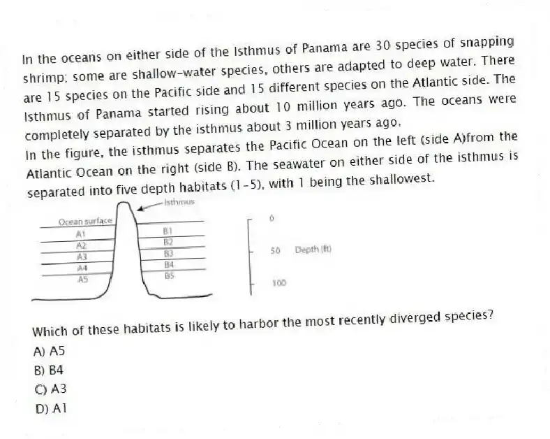 In the oceans on either side of the Isthmus of Panama are 30 species of snapping shrimp; some are shallow-water species, others are adapted to deep water. There are 15 species on the Pacific side and 15 different species on the Atlantic side. The Isthmus of Panama started rising about 10 million years ago. The oceans were completely separated by the isthmus about 3 million years ago.
In the figure, the isthmus separates the Pacific Ocean on the left (side A)from the Atlantic Ocean on the right (side B). The seawater on either side of the isthmus is separated into five depth habitats (1-5), with 1 being the shallowest.
Which of these habitats is likely to harbor the most recently diverged species?
A) A5
B) B4
C) A3
D) A1