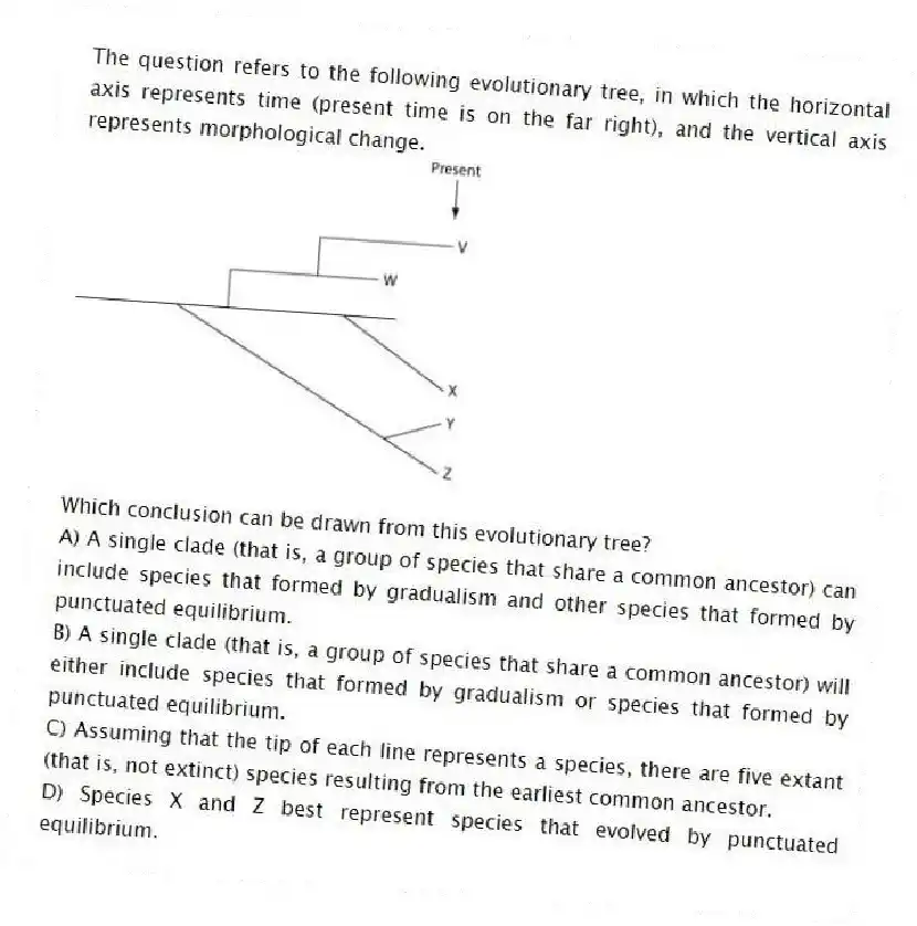 The question refers to the following evolutionary tree, in which the horizontal axis represents time (present time is on the far right), and the vertical axis represents morphological change.
Which conclusion can be drawn from this evolutionary tree?
A) A single clade (that is, a group of species that share a common ancestor) can include species that formed by gradualism and other species that formed by punctuated equilibrium.
B) A single clade (that is, a group of species that share a common ancestor) will either include species that formed by gradualism or species that formed by punctuated equilibrium.
C) Assuming that the tip of each line represents a species, there are five extant (that is, not extinct) species resulting from the earliest common ancestor.
D) Species X and Z best represent species that evolved by punctuated equilibrium.
