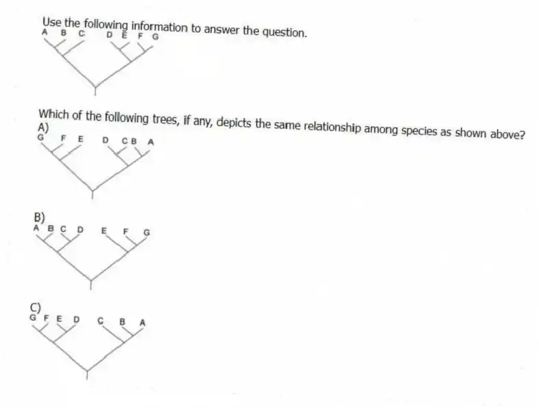Use the following information to answer the question.
Which of the following trees, if any, depicts the same relationship among species as shown above?