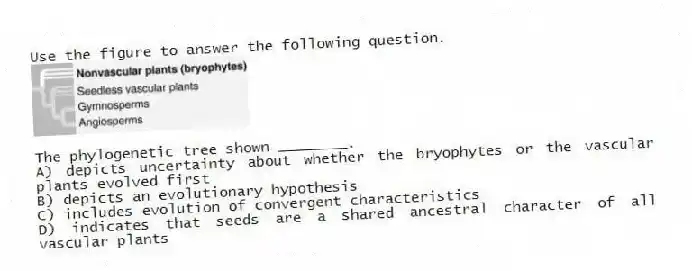 Use the figure to answer the following question.
The phylogenetic tree shown ________.
A) depicts uncertainty about whether the bryophytes or the vascular plants evolved first
B) depicts an evolutionary hypothesis
C) includes evolution of convergent characteristics
D) indicates that seeds are a shared ancestral character of all vascular plants