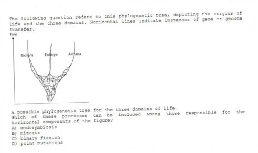 The following question refers to this phylogenetic tree, depicting the origins of life and the three domains. Horizontal lines indicate instances of gene or genome transfer.
A possible phylogenetic tree for the three domains of life.
Which of these processes can be included among those responsible for the horizontal components of the figure?
A) endosymbiosis
B) mitosis
C) binary fission
D) point mutations