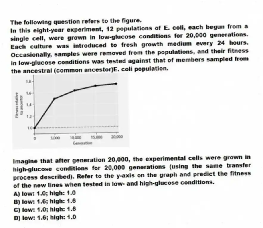 The following question refers to the figure.
In this eight-year experiment, 12 populations of E. coli, each begun from a single cell, were grown in low-glucose conditions for 20,000 generations. Each culture was introduced to fresh growth medium every 24 hours. Occasionally, samples were removed from the populations, and their fitness in low-glucose conditions was tested against that of members sampled from the ancestral (common ancestor)E. coli population.
Imagine that after generation 20,000, the experimental cells were grown in high-glucose conditions for 20,000 generations (using the same transfer process described). Refer to the y-axis on the graph and predict the fitness of the new lines when tested in low- and high-glucose conditions.
A) low: 1.0; high: 1.0
B) low: 1.6; high: 1.6
C) low: 1.0; high: 1.6
D) low: 1.6; high: 1.0