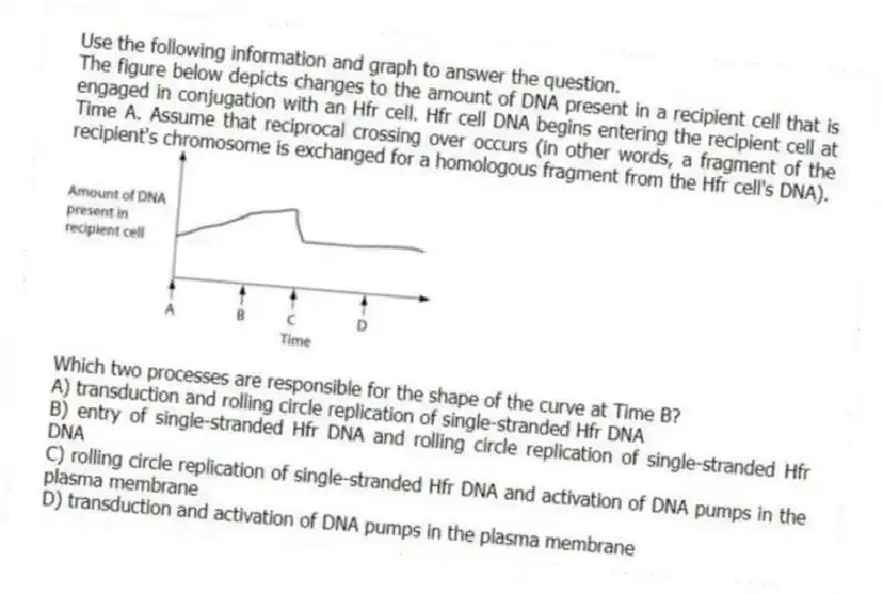 Use the following information and graph to answer the question.
The figure below depicts changes to the amount of DNA present in a recipient cell that is engaged in conjugation with an Hfr cell. Hfr cell DNA begins entering the recipient cell at Time A. Assume that reciprocal crossing over occurs (in other words, a fragment of the recipient's chromosome is exchanged for a homologous fragment from the Hfr cell's DNA).
Which two processes are responsible for the shape of the curve at Time B?
A) transduction and rolling circle replication of single-stranded Hfr DNA
B) entry of single-stranded Hfr DNA and rolling circle replication of single-stranded Hfr DNA
C) rolling circle replication of single-stranded Hfr DNA and activation of DNA pumps in the plasma membrane
D) transduction and activation of DNA pumps in the plasma membrane