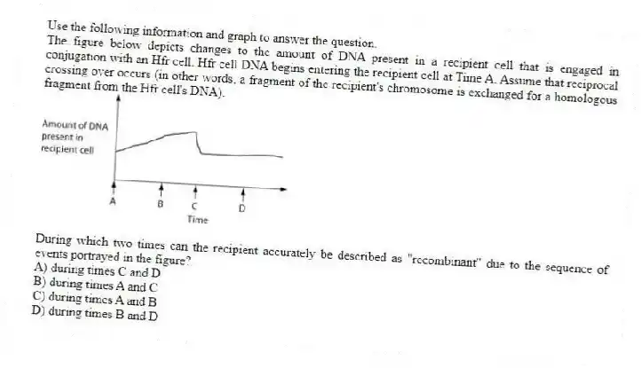 Use the following information and graph to answer the question.
The figure below depicts changes to the amount of DNA present in a recipient cell that is engaged in conjugation with an Hfr cell. Hfr cell DNA begins entering the recipient cell at Time A. Assume that reciprocal crossing over occurs (in other words, a fragment of the recipient's chromosome is exchanged for a homologous fragment from the Hfr cell's DNA).
During which two times can the recipient accurately be described as "recombinant" due to the sequence of events portrayed in the figure?
A) during times C and D
B) during times A and C
C) during times A and B
D) during times B and D