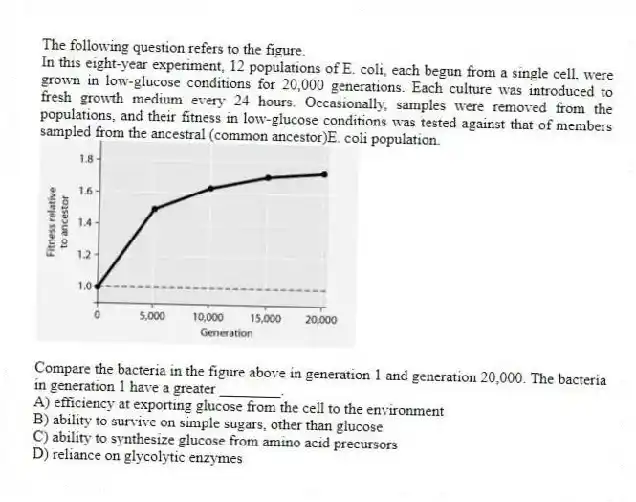 The following question refers to the figure.
In this eight-year experiment, 12 populations of E. coli, each begun from a single cell, were grown in low-glucose conditions for 20,000 generations. Each culture was introduced to fresh growth medium every 24 hours. Occasionally, samples were removed from the populations, and their fitness in low-glucose conditions was tested against that of members sampled from the ancestral (common ancestor)E. coli population.
Compare the bacteria in the figure above in generation 1 and generation 20,000. The bacteria in generation 1 have a greater ________.
A) efficiency at exporting glucose from the cell to the environment
B) ability to survive on simple sugars, other than glucose
C) ability to synthesize glucose from amino acid precursors
D) reliance on glycolytic enzymes