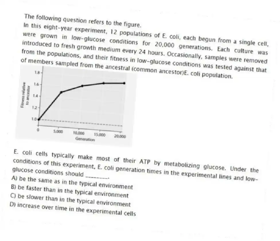 The following question refers to the figure.
In this eight-year experiment, 12 populations of E. coli, each begun from a single cell, were grown in low-glucose conditions for 20,000 generations. Each culture was introduced to fresh growth medium every 24 hours. Occasionally, samples were removed from the populations, and their fitness in low-glucose conditions was tested against that of members sampled from the ancestral (common ancestor)E. coli population.
E. coli cells typically make most of their ATP by metabolizing glucose. Under the conditions of this experiment, E. coli generation times in the experimental lines and low-glucose conditions should ________.
A) be the same as in the typical environment
B) be faster than in the typical environment
C) be slower than in the typical environment
D) increase over time in the experimental cells