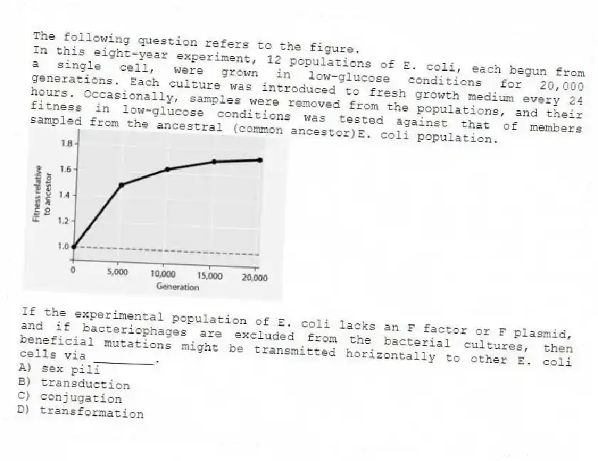 The following question refers to the figure.
In this eight-year experiment, 12 populations of E. coli, each begun from a single cell, were grown in low-glucose conditions for 20,000 generations. Each culture was introduced to fresh growth medium every 24 hours. Occasionally, samples were removed from the populations, and their fitness in low-glucose conditions was tested against that of members sampled from the ancestral (common ancestor)E. coli population.
If the experimental population of E. coli lacks an F factor or F plasmid, and if bacteriophages are excluded from the bacterial cultures, then beneficial mutations might be transmitted horizontally to other E. coli cells via ________.
A) sex pili
B) transduction
C) conjugation
D) transformation