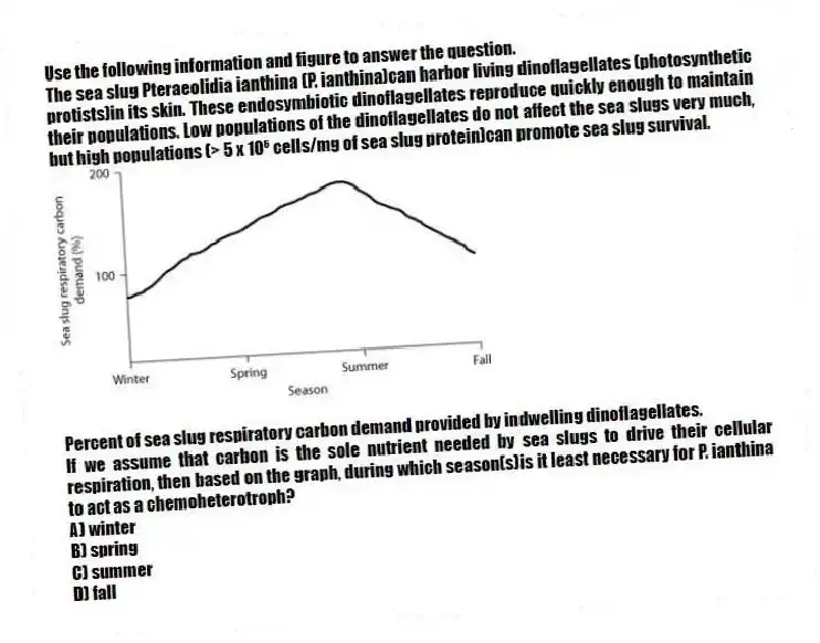 Use the following information and figure to answer the question.
The sea slug Pteraeolidia ianthina (P. ianthina)can harbor living dinoflagellates (photosynthetic protists)in its skin. These endosymbiotic dinoflagellates reproduce quickly enough to maintain their populations. Low populations of the dinoflagellates do not affect the sea slugs very much, but high populations (> 5 x 10⁵ cells/mg of sea slug protein)can promote sea slug survival.
Percent of sea slug respiratory carbon demand provided by indwelling dinoflagellates.
If we assume that carbon is the sole nutrient needed by sea slugs to drive their cellular respiration, then based on the graph, during which season(s)is it least necessary for P. ianthina to act as a chemoheterotroph?
A) winter
B) spring
C) summer
D) fall