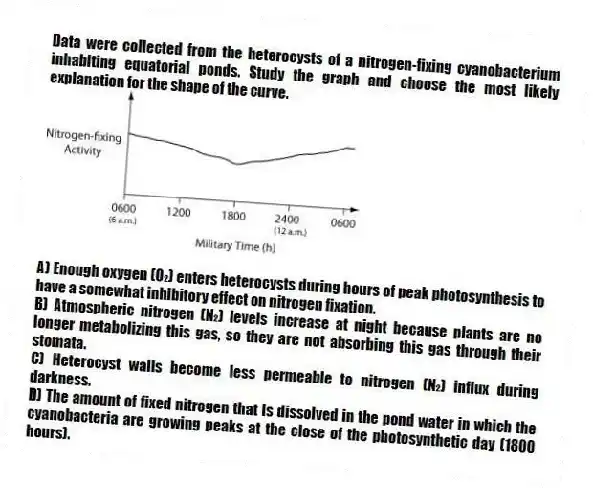 Data were collected from the heterocysts of a nitrogen-fixing cyanobacterium inhabiting equatorial ponds. Study the graph and choose the most likely explanation for the shape of the curve.

A) Enough oxygen (O₂) enters heterocysts during hours of peak photosynthesis to have a somewhat inhibitory effect on nitrogen fixation. 
B) Atmospheric nitrogen (N₂) levels increase at night because plants are no longer metabolizing this gas, so they are not absorbing this gas through their stomata. 
C) Heterocyst walls become less permeable to nitrogen (N₂) influx during darkness. 
D) The amount of fixed nitrogen that is dissolved in the pond water in which the cyanobacteria are growing peaks at the close of the photosynthetic day (1800 hours).
