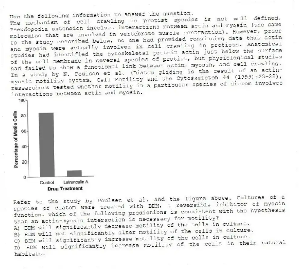 Use the following information to answer the question.
The mechanism of cell crawling in protist species is not well defined. Pseudopodia extension involves interactions between actin and myosin (the same molecules that are involved in vertebrate muscle contraction). However, prior to the study described below, no one had provided convincing data that actin and myosin were actually involved in cell crawling in protists. Anatomical studies had identified the cytoskeletal protein actin just below the surface of the cell membrane in several species of protist, but physiological studies had failed to show a functional link between actin, myosin, and cell crawling.
In a study by N. Poulsen et al. (Diatom gliding is the result of an actin-myosin motility system, Cell Motility and the Cytoskeleton 44 (1999):23-22), researchers tested whether motility in a particular species of diatom involves interactions between actin and myosin.
Refer to the study by Poulsen et al. and the figure above. Cultures of a species of diatom were treated with BDM, a reversible inhibitor of myosin function. Which of the following predictions is consistent with the hypothesis that an actin-myosin interaction is necessary for motility?
A) BDM will significantly decrease motility of the cells in culture.
B) BDM will not significantly alter motility of the cells in culture.
C) BDM will significantly increase motility of the cells in culture.
D) BDM will significantly increase motility of the cells in their natural habitats.