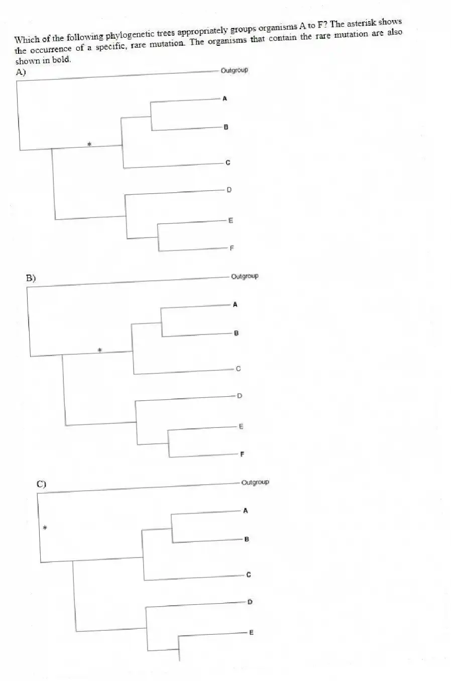 Which of the following phylogenetic trees appropriately groups organisms A to F? The asterisk shows the occurrence of a specific, rare mutation. The organisms that contain the rare mutation are also shown in bold.
