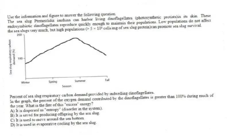 Use the information and figure to answer the following question.
The sea slug Pteraeolidia ianthina can harbor living dinoflagellates (photosynthetic protists)in its skin. These endosymbiotic dinoflagellates reproduce quickly enough to maintain their populations. Low populations do not affect the sea slugs very much, but high populations (> 5 × 10⁵ cells/mg of sea slug protein)can promote sea slug survival.
Percent of sea slug respiratory carbon demand provided by indwelling dinoflagellates.
In the graph, the percent of the oxygen demand contributed by the dinoflagellates is greater than 100% during much of the year. What is the fate of this "excess" energy?
A) It is dispersed as "entropy" (disorder in the system).
B) It is saved for producing offspring by the sea slug.
C) It is used to move around the sea bottom.
D) It is used in evaporative cooling by the sea slug.