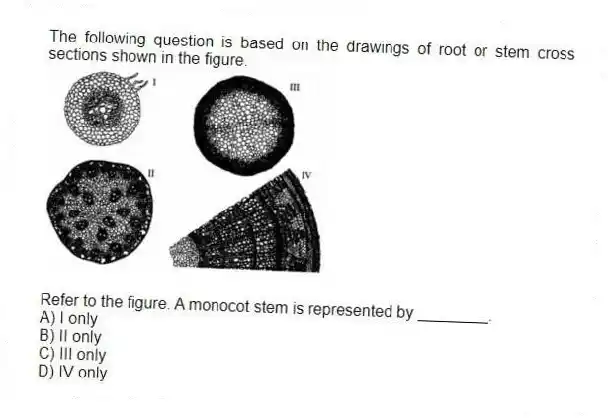 The following question is based on the drawings of root or stem cross sections shown in the figure.
Refer to the figure. A monocot stem is represented by ________.
A) I only
B) II only
C) III only
D) IV only