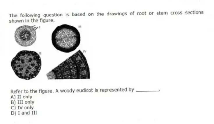 The following question is based on the drawings of root or stem cross sections shown in the figure.
Refer to the figure. A woody eudicot is represented by ________.
A) II only
B) III only
C) IV only
D) I and III