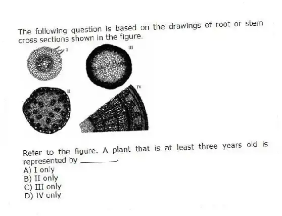 The following question is based on the drawings of root or stem cross sections shown in the figure.
Refer to the figure. A plant that is at least three years old is represented by ________.
A) I only
B) II only
C) III only
D) IV only