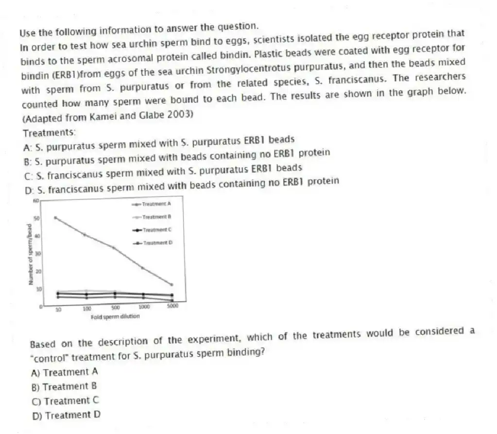 Use the following information to answer the question.
In order to test how sea urchin sperm bind to eggs, scientists isolated the egg receptor protein that binds to the sperm acrosomal protein called bindin. Plastic beads were coated with egg receptor for bindin (ERB1)from eggs of the sea urchin Strongylocentrotus purpuratus, and then the beads mixed with sperm from S. purpuratus or from the related species, S. franciscanus. The researchers counted how many sperm were bound to each bead. The results are shown in the graph below. (Adapted from Kamei and Glabe 2003)
Treatments:
A: S. purpuratus sperm mixed with S. purpuratus ERB1 beads
B: S. purpuratus sperm mixed with beads containing no ERB1 protein
C: S. franciscanus sperm mixed with S. purpuratus ERB1 beads
D: S. franciscanus sperm mixed with beads containing no ERB1 protein
Based on the description of the experiment, which of the treatments would be considered a "control" treatment for S. purpuratus sperm binding?
A) Treatment A
B) Treatment B
C) Treatment C
D) Treatment D