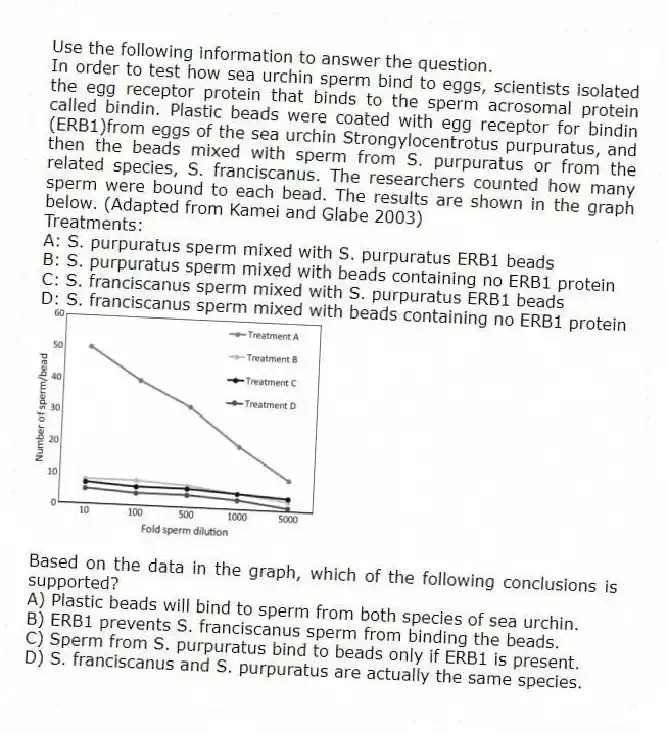 Use the following information to answer the question.
In order to test how sea urchin sperm bind to eggs, scientists isolated the egg receptor protein that binds to the sperm acrosomal protein called bindin. Plastic beads were coated with egg receptor for bindin (ERB1)from eggs of the sea urchin Strongylocentrotus purpuratus, and then the beads mixed with sperm from S. purpuratus or from the related species, S. franciscanus. The researchers counted how many sperm were bound to each bead. The results are shown in the graph below. (Adapted from Kamei and Glabe 2003)
Treatments:
A: S. purpuratus sperm mixed with S. purpuratus ERB1 beads
B: S. purpuratus sperm mixed with beads containing no ERB1 protein
C: S. franciscanus sperm mixed with S. purpuratus ERB1 beads
D: S. franciscanus sperm mixed with beads containing no ERB1 protein
Based on the data in the graph, which of the following conclusions is supported?
A) Plastic beads will bind to sperm from both species of sea urchin.
B) ERB1 prevents S. franciscanus sperm from binding the beads.
C) Sperm from S. purpuratus bind to beads only if ERB1 is present.
D) S. franciscanus and S. purpuratus are actually the same species.
