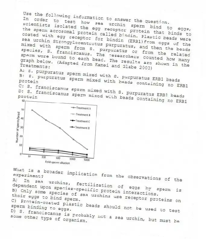 Use the following information to answer the question.
In order to test how sea urchin sperm bind to eggs, scientists isolated the egg receptor protein that binds to the sperm acrosomal protein called bindin. Plastic beads were coated with egg receptor for bindin (ERB1)from eggs of the sea urchin Strongylocentrotus purpuratus, and then the beads mixed with sperm from S. purpuratus or from the related species, S. franciscanus. The researchers counted how many sperm were bound to each bead. The results are shown in the graph below. (Adapted from Kamei and Glabe 2003)
Treatments:
A: S. purpuratus sperm mixed with S. purpuratus ERB1 beads
B: S. purpuratus sperm mixed with beads containing no ERB1 protein
C: S. franciscanus sperm mixed with S. purpuratus ERB1 beads
D: S. franciscanus sperm mixed with beads containing no ERB1 protein
What is a broader implication from the observations of the experiment?
A) In sea urchins, fertilization of eggs by sperm is dependent upon species-specific protein interactions.
B) Only some species of sea urchins use receptor proteins on their eggs to bind sperm.
C) Protein-coated plastic beads should not be used to test sperm binding to eggs.
D) S. franciscanus is probably not a sea urchin, but must be some other type of organism.