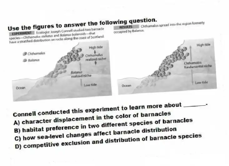 Use the figures to answer the following question.
Connell conducted this experiment to learn more about ________.
A) character displacement in the color of barnacles
B) habitat preference in two different species of barnacles
C) how sea-level changes affect barnacle distribution
D) competitive exclusion and distribution of barnacle species