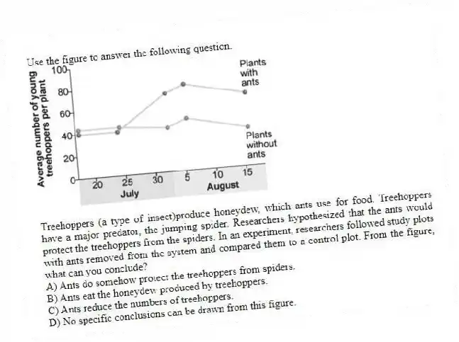 Use the figure to answer the following question.
Treehoppers (a type of insect)produce honeydew, which ants use for food. Treehoppers have a major predator, the jumping spider. Researchers hypothesized that the ants would protect the treehoppers from the spiders. In an experiment, researchers followed study plots with ants removed from the system and compared them to a control plot. From the figure, what can you conclude?
A) Ants do somehow protect the treehoppers from spiders.
B) Ants eat the honeydew produced by treehoppers.
C) Ants reduce the numbers of treehoppers.
D) No specific conclusions can be drawn from this figure.
