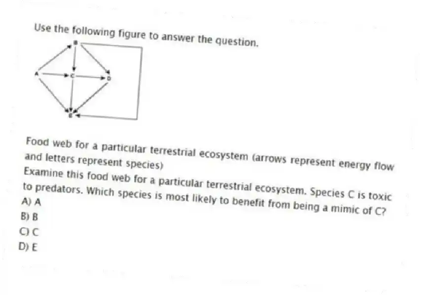 Use the following figure to answer the question.
Food web for a particular terrestrial ecosystem (arrows represent energy flow and letters represent species)
Examine this food web for a particular terrestrial ecosystem. Species C is toxic to predators. Which species is most likely to benefit from being a mimic of C?
A) A
B) B
C) C
D) E